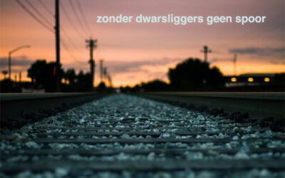 Dwarsliggers in de digitale transformatie